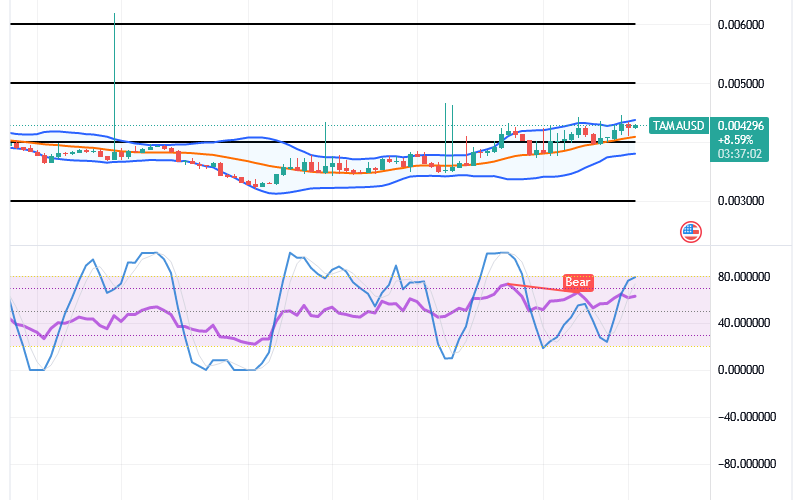 Tamadoge (TAMA/USD) Price Is Bouncing, Hovering at $0.004