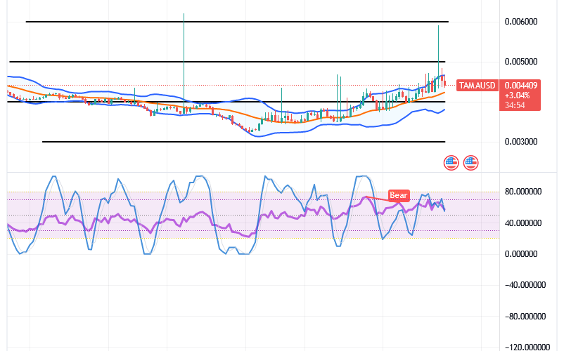 Tamadoge (TAMA/USD) Price Is Rising, Striving for Stability