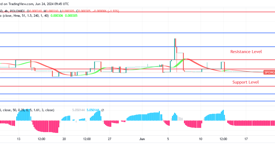 Sponge (SPONGEUSDT) Price Increase Is Now