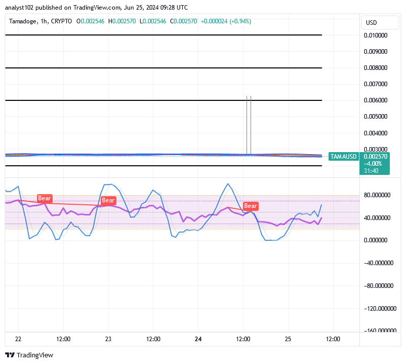 Tamadoge (TAMA/USD) Price Holds Low, Conjecturing Spikes