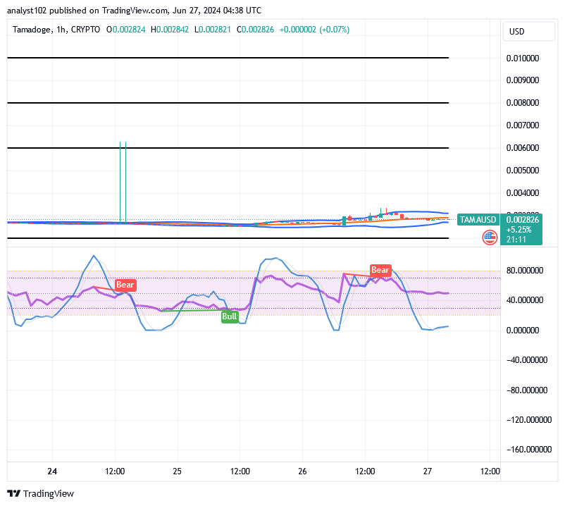 Tamadoge (TAMA/USD) Price Re-Builds Stances, Stays Hiking