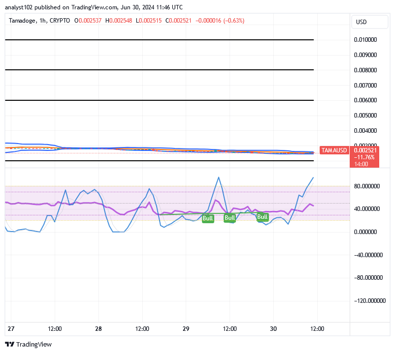 Tamadoge (TAMA/USD) Price Is Down, Developing Spikes