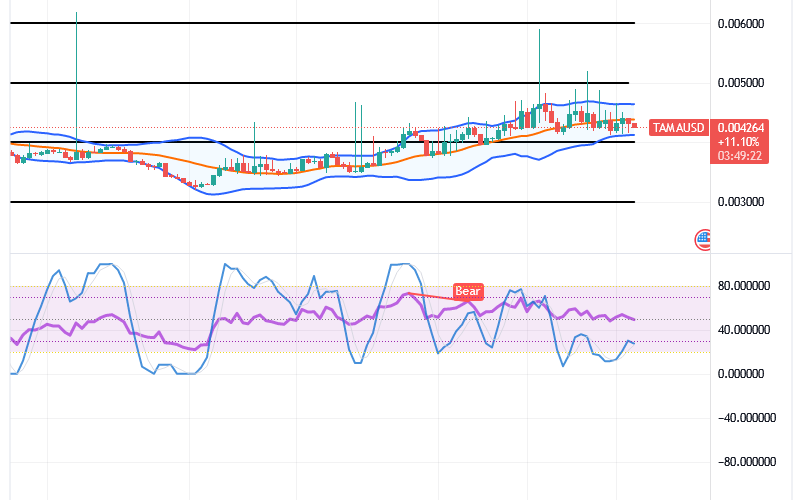 Tamadoge (TAMA/USD) Price Builds Bases, Holding Skyrockets
