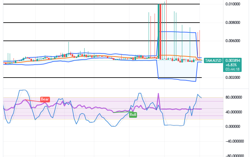 Tamadoge (TAMA/USD) Price Re-balances, Breeding Spirals