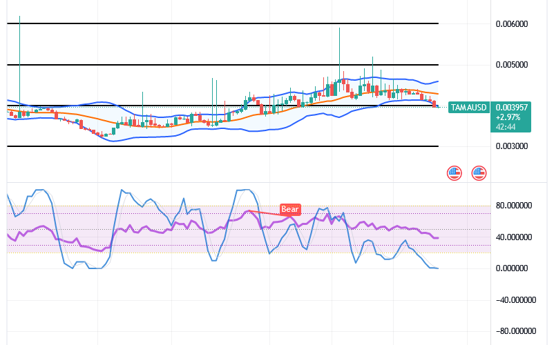 Tamadoge (TAMA/USD) Price Poises Actions, Settling for Rebounds
