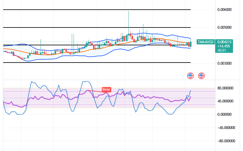Tamadoge (TAMA/USD) Price Fine-tunes Basis, Sets for Spikes