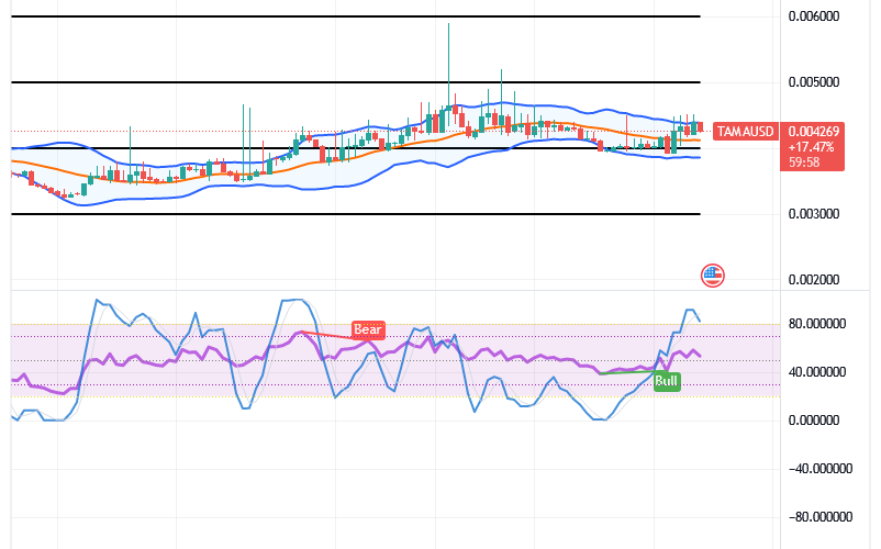 Tamadoge (TAMA/USD) Price Elongates a Base, Tending Spikes