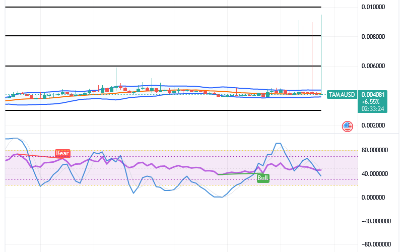 Tamadoge (TAMA/USD) Price Is Spiking, Settling a Baseline