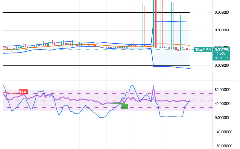 Tamadoge (TAMA/USD) Price Keeps Spiking, Tightening a Pivot
