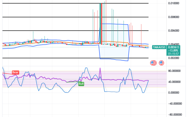 Tamadoge (TAMA/USD) Price Is Respiring, Garnering Spikes