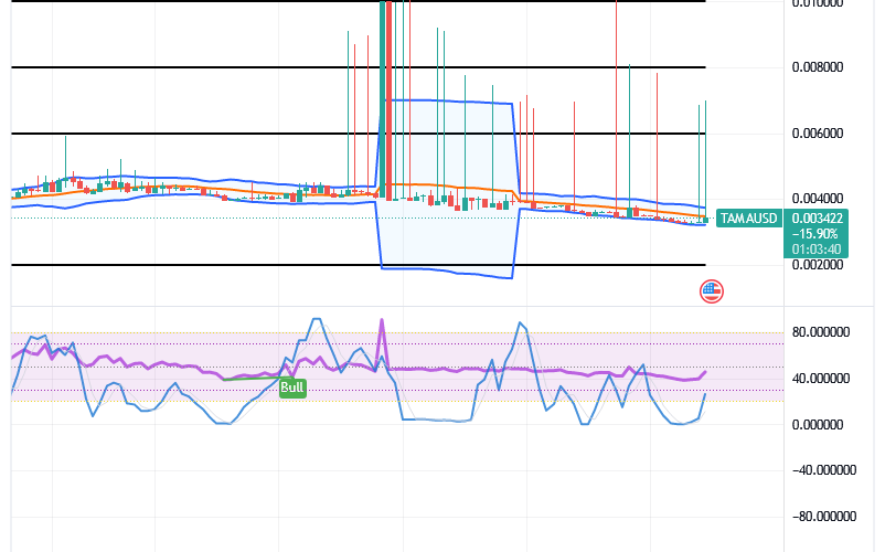 Tamadoge (TAMA/USD) Price Sets a Base, Holding Catalyst Inputs