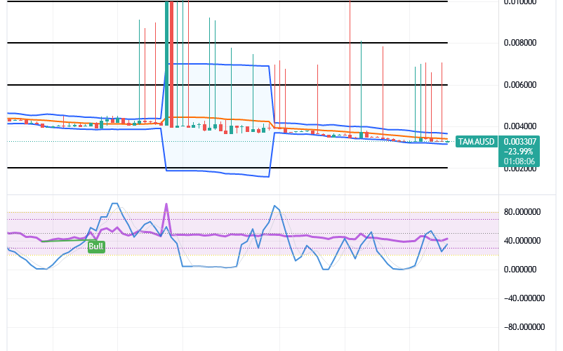 Tamadoge (TAMA/USD) Price Is Bouncing, Sitting on a Baseline