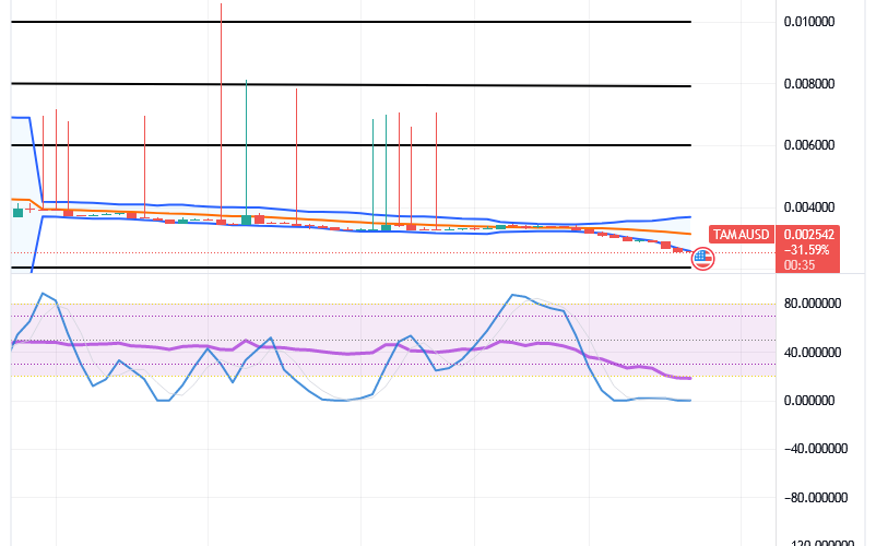 Tamadoge (TAMA/USD) Price Is on a Base, Poking a Bounce