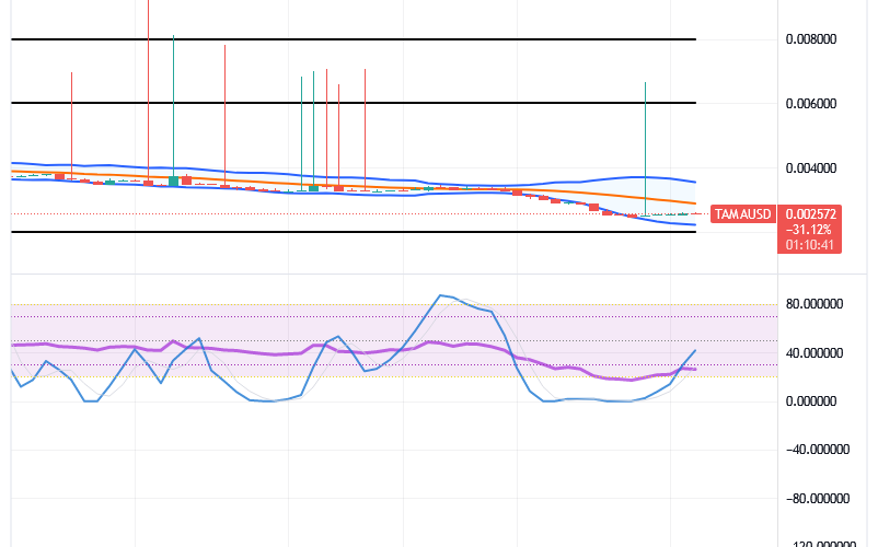 Tamadoge (TAMA/USD) Price Thrives a Base, Breeding Spiral Signs