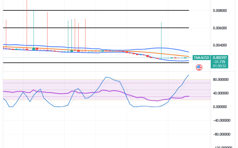 Tamadoge (TAMA/USD) Price Nurtures Hikes, Forming a Base