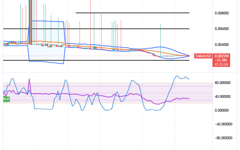 Tamadoge (TAMA/USD) Price Trades in Ranges, Poses Spikes