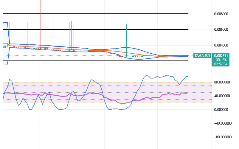 Tamadoge (TAMA/USD) Price Is in Recession, Holding Rebounds