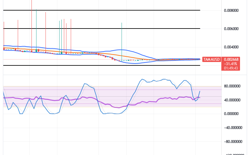 Tamadoge (TAMA/USD) Price Prolongs Recession, Holds Hikes