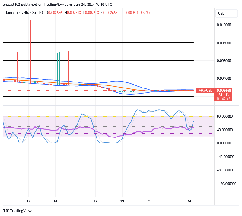 Tamadoge (TAMA/USD) Price Prolongs Recession, Holds Hikes