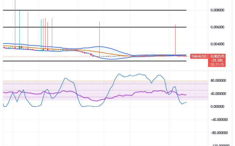 Tamadoge (TAMA/USD) Price Holds Low, Conjecturing Spikes