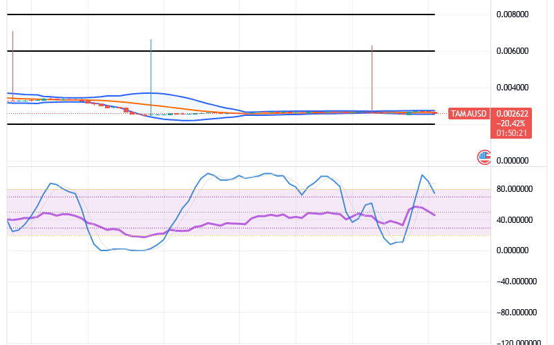 Tamadoge (TAMA/USD) Price Poises Lower, Garnering Catalysts
