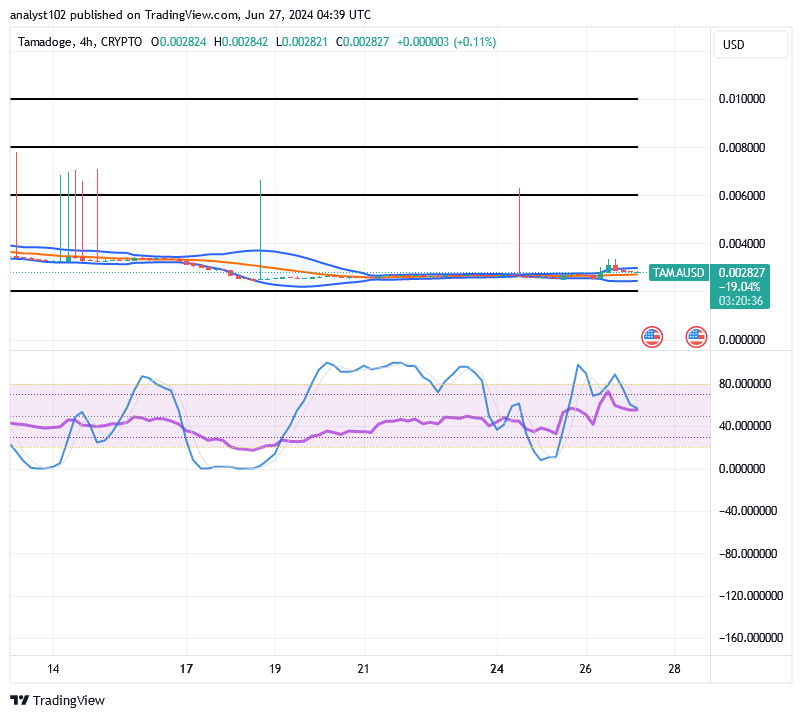 Tamadoge (TAMA/USD) Price Re-Builds Stances, Stays Hiking