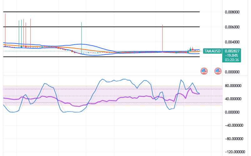 Tamadoge (TAMA/USD) Price Declines, Building Energy