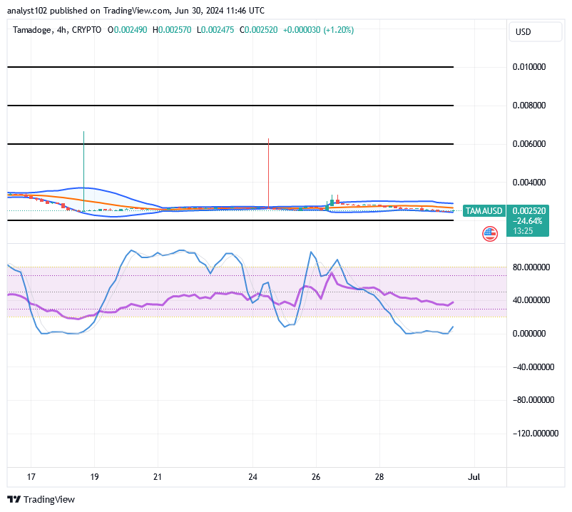 Tamadoge (TAMA/USD) Price Is Down, Developing Spikes