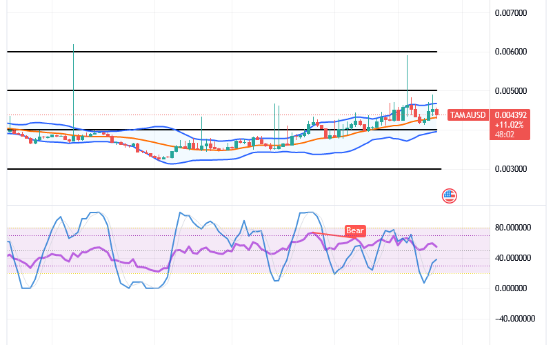 Tamadoge (TAMA/USD) Price Is Spiraling; Keeping a Base