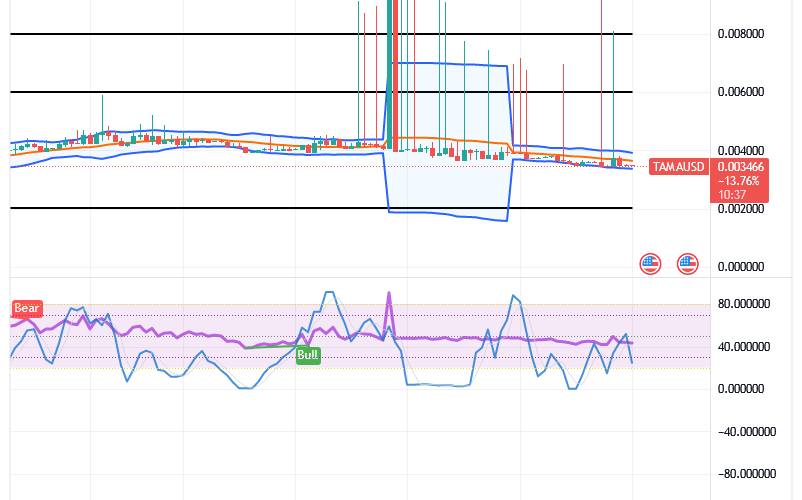 Tamadoge (TAMA/USD) Price Holds Basis, Nurturing Bounces