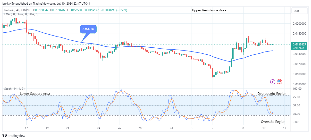 Notcoin (NOTUSD) Price Will Go Higher