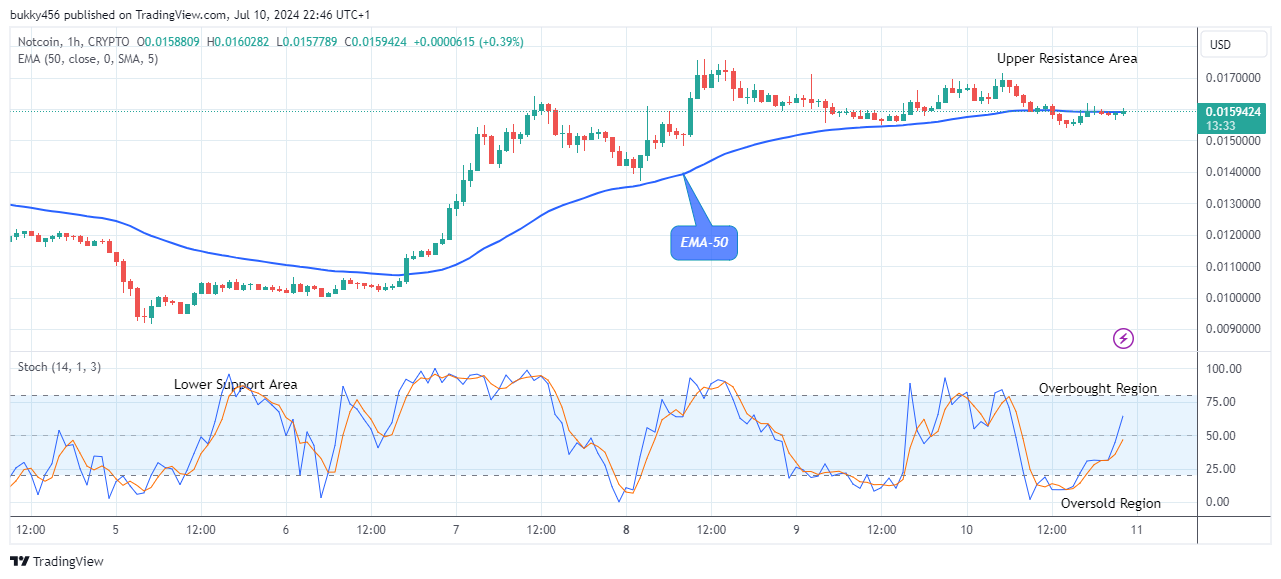 Notcoin (NOTUSD) Price Will Go Higher