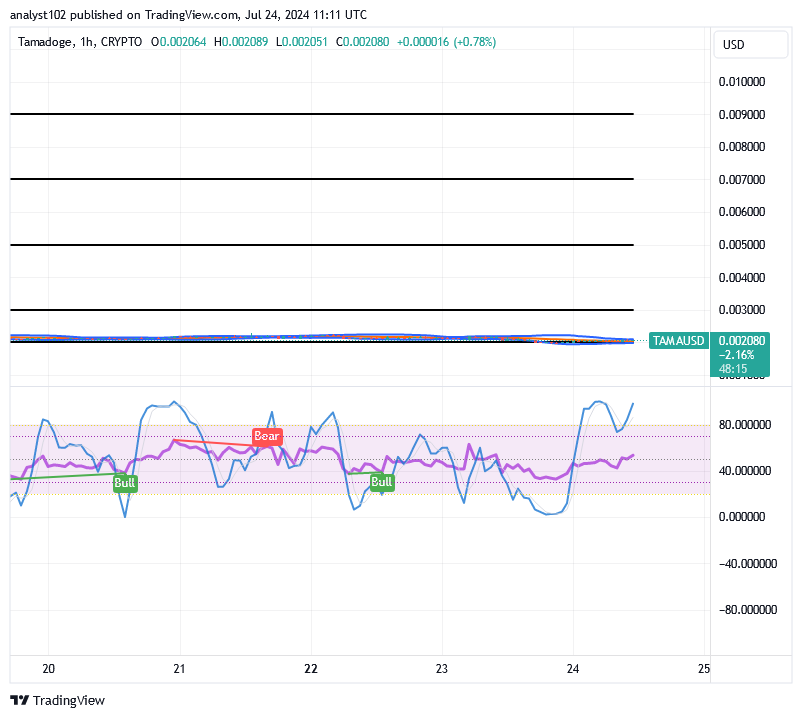 Tamadoge (TAMA/USD) Trade Stays Basing, Garnering Spiral Signs