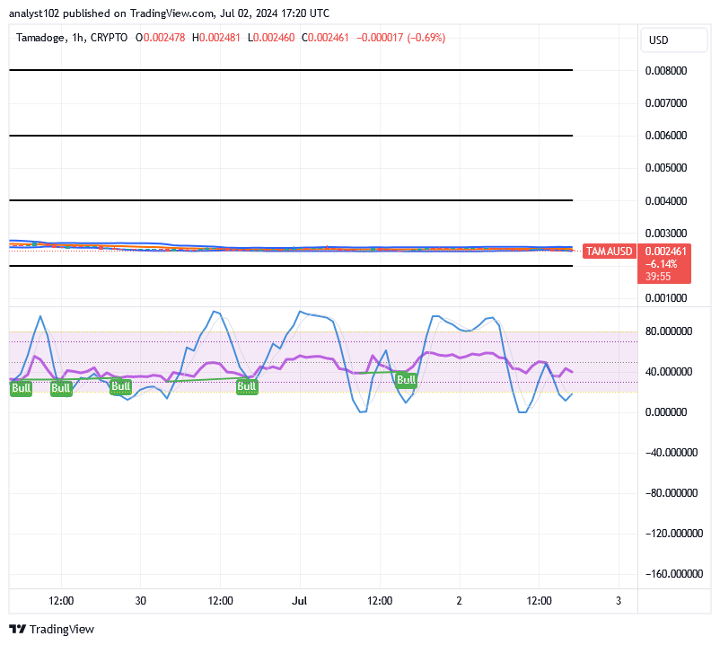 Tamadoge (TAMA/USD) Market Holds Basis, Composing Spirals