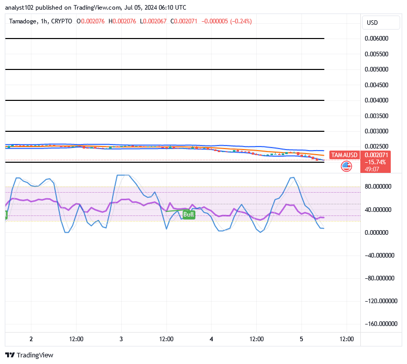 Tamadoge (TAMA/USD) Market Declines, Conjecturing Bounces