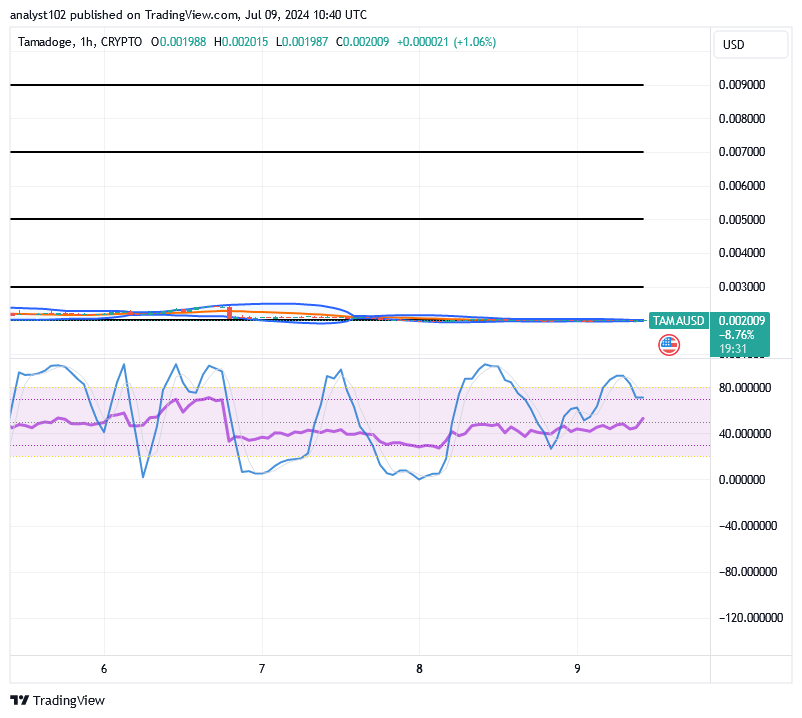 Tamadoge (TAMA/USD) Price Is Down, Gathering Bounces