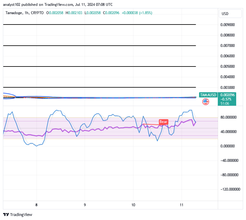 Tamadoge (TAMA/USD) Price Builds Up, Fine-tuning Momentum