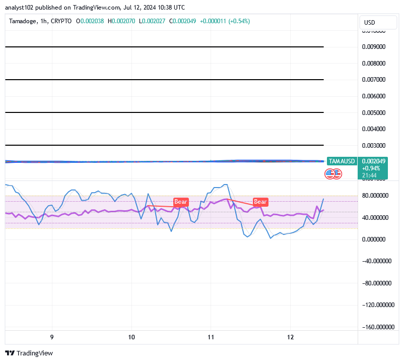 Tamadoge (TAMA/USD) Price Compresses, Finding Hike Inputs