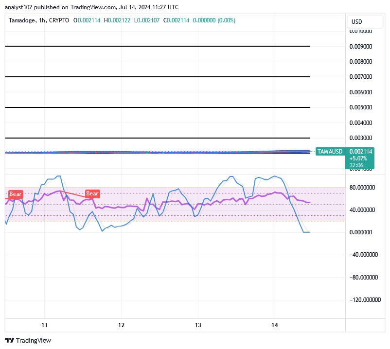 Tamadoge (TAMA/USD) Market Hovers, Holding Rising Signs