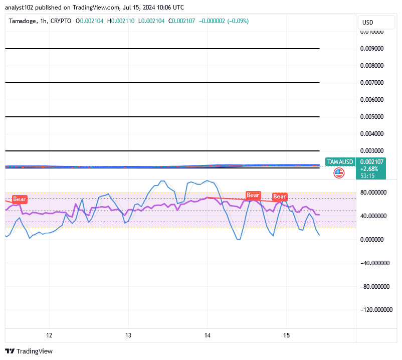 Tamadoge (TAMA/USD) Market Is in Ranges, Garnering Momentum