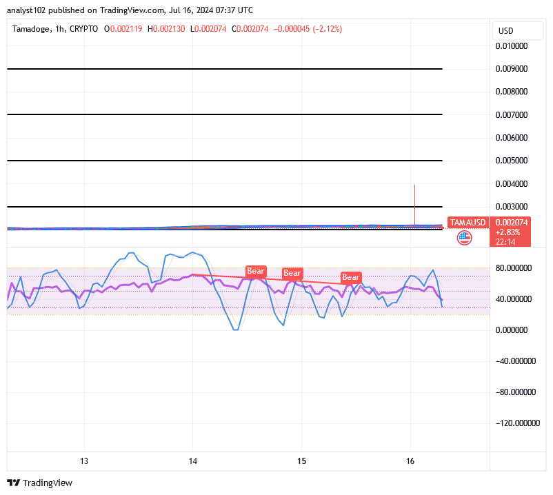 Tamadoge (TAMA/USD) Market Surges, Finding Basis