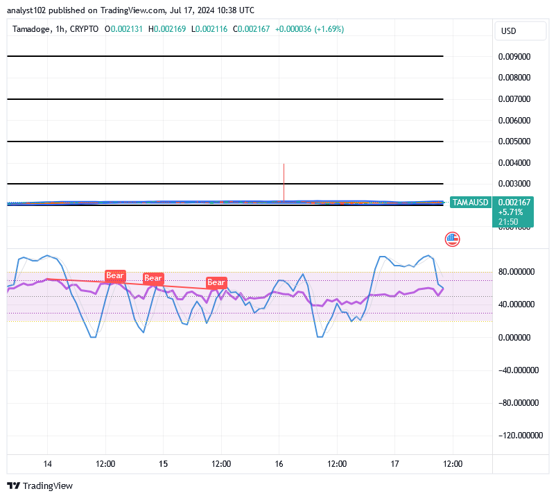 Tamadoge (TAMA/USD) Market Bounces, Portending Spirals