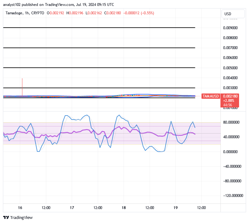 Tamadoge (TAMA/USD) Market Is Under Barriers, Raising Hikes