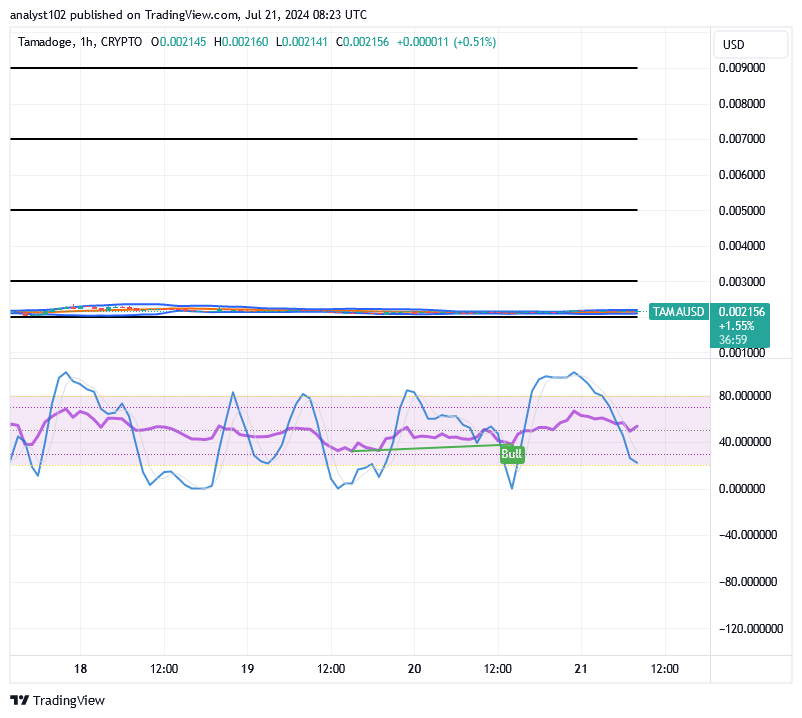 Tamadoge (TAMA/USD) Trade Slows Action, Composing Spikes