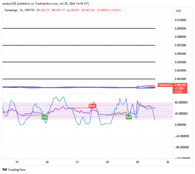 Tamadoge (TAMA/USD) Prices Are Hovering, Holding a Basis