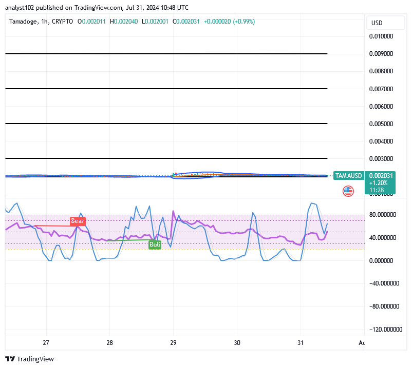 Tamadoge (TAMA/USD) Price Has Spirals, Holding a Base