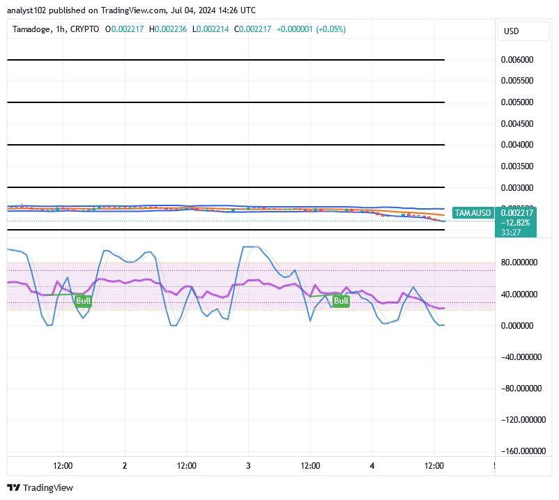 Tamadoge (TAMA/USD) Market Slows Lowering, Keeps Hikes