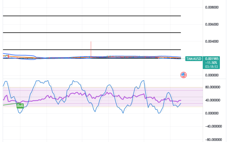 Tamadoge (TAMA/USD) Trade Repositions, Portending Hikes