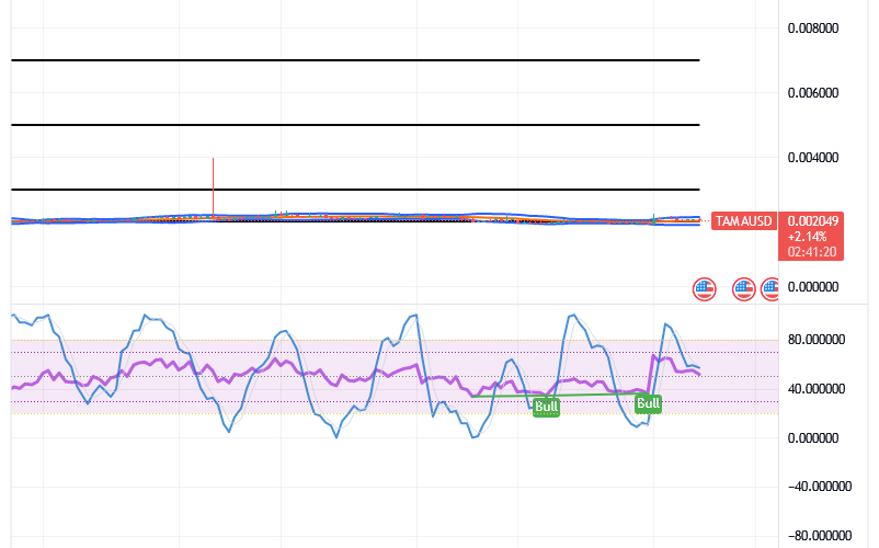 Tamadoge (TAMA/USD) Prices Are Bouncing, Keeps a Base