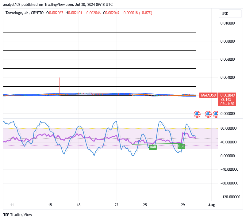 Tamadoge (TAMA/USD) Prices Are Bouncing, Keeps a Base